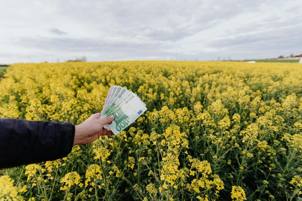 Eine Hand, die Geld hält